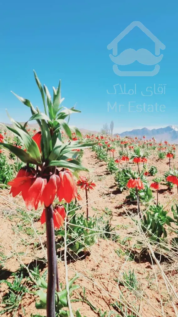 فروش باغ ویلا