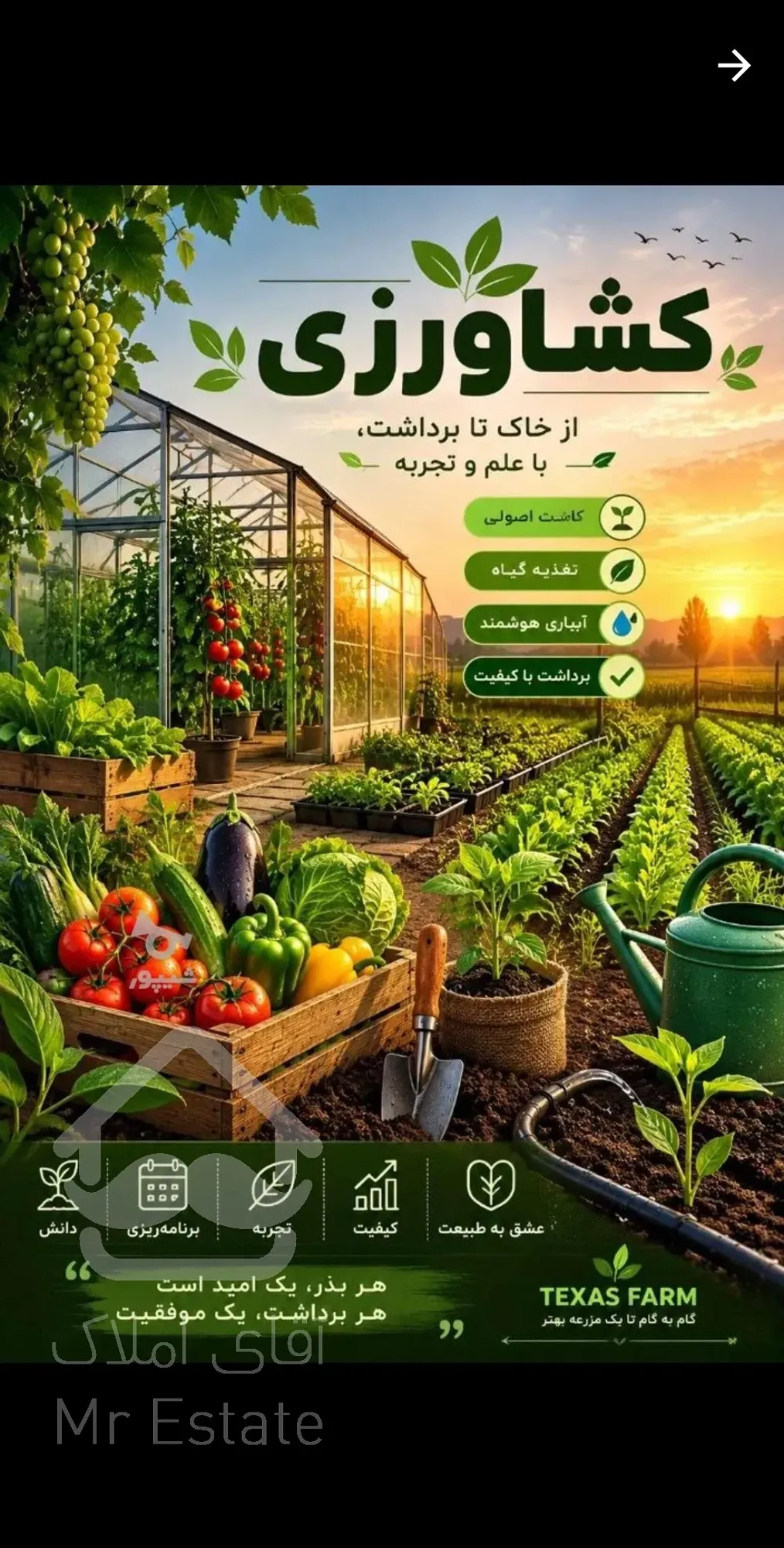خدمات باغبانی  وگل کاری وتعویز خاک گل دان  وغیره