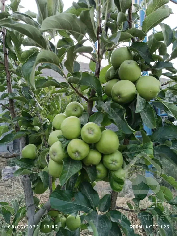 باغ ویلا ۱۶۰۰متر سند تک برگ