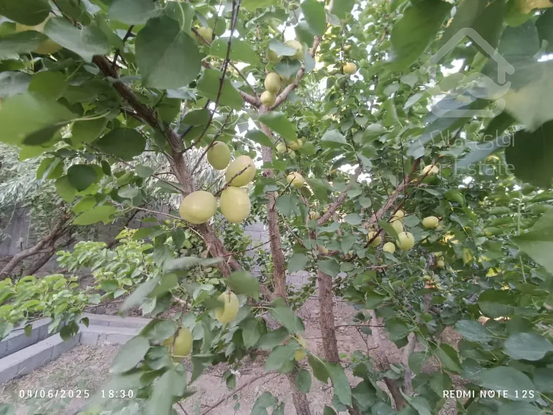 باغ ویلا ۱۶۰۰متر سند تک برگ