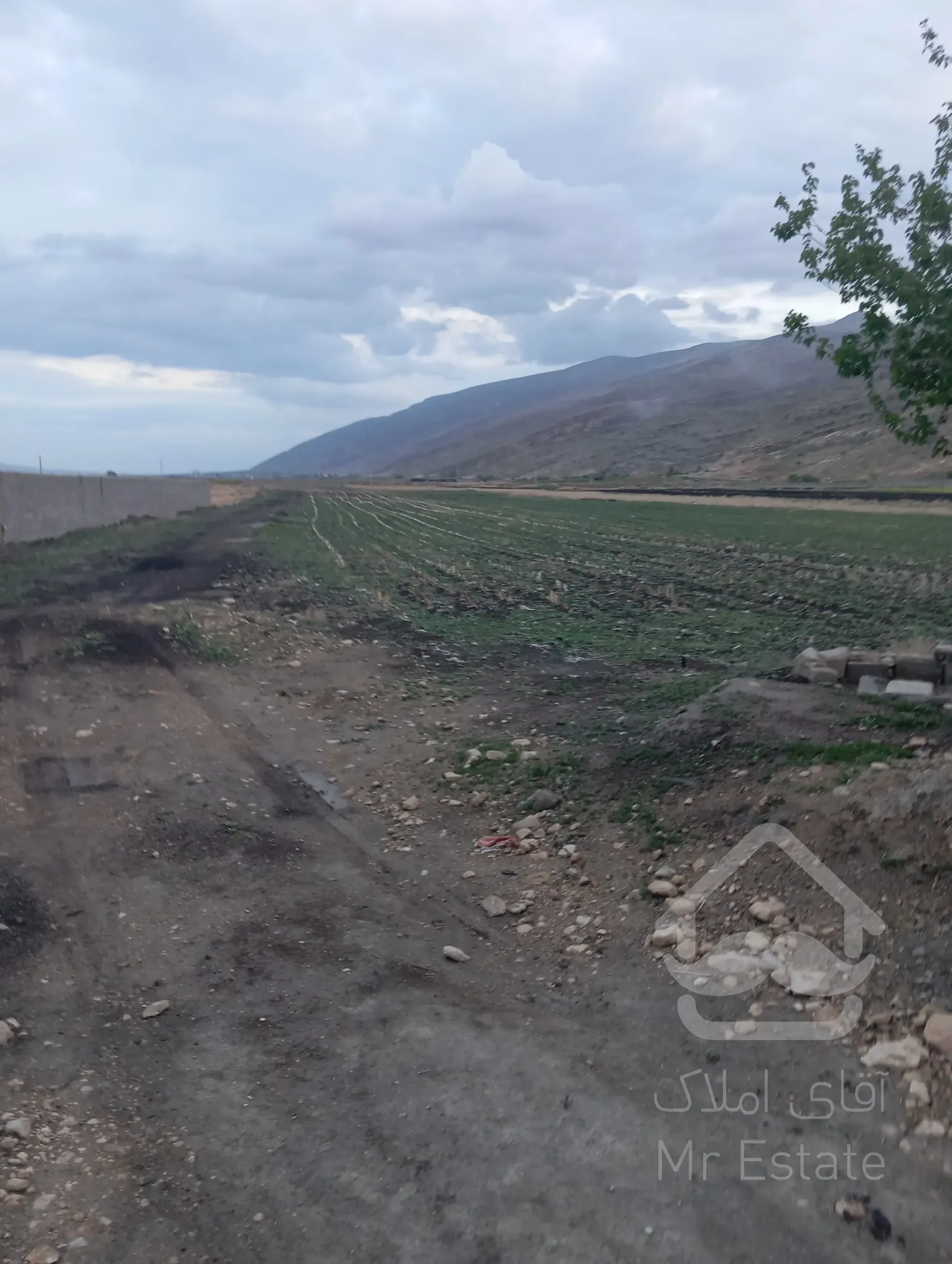 فروش زمین کشاورزی ۱۰۰۰ متری – حسن‌آباد قره‌باغ