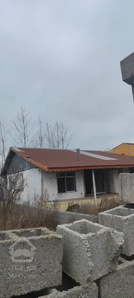 کلنگی چپرپرد بندرانزلی