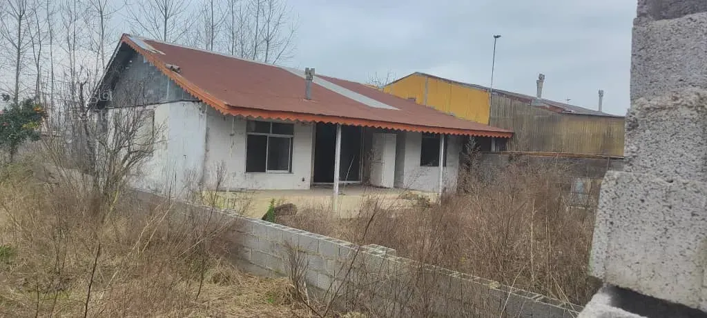 کلنگی چپرپرد بندرانزلی