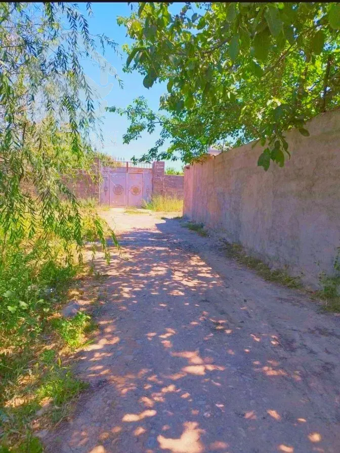 فروش باغ ۷۰۰ متری با موقعیتی عالی