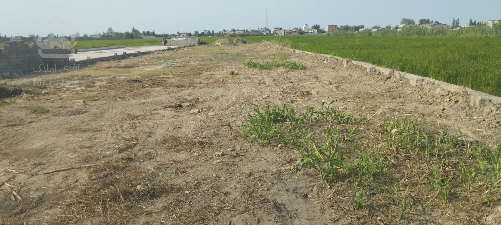 فروش زمین ۱۰۰۰ متر روستای کاریکلاه