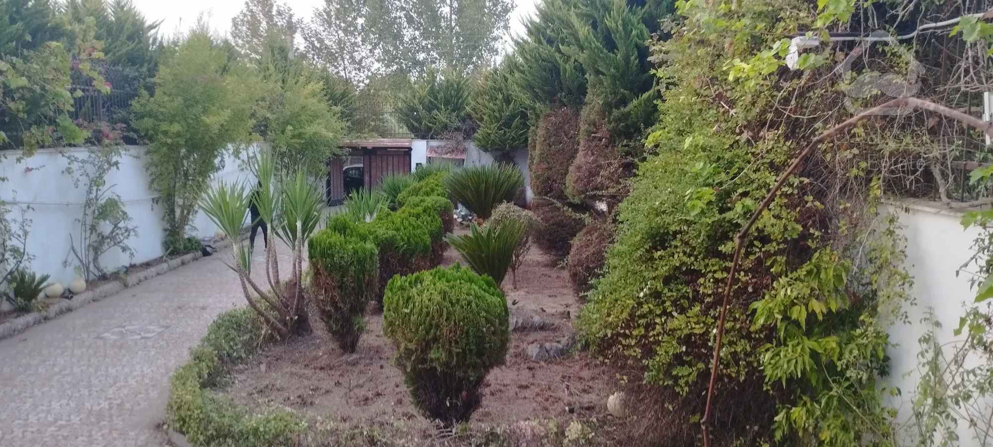 فروش ویلا در شهرک صفاییه