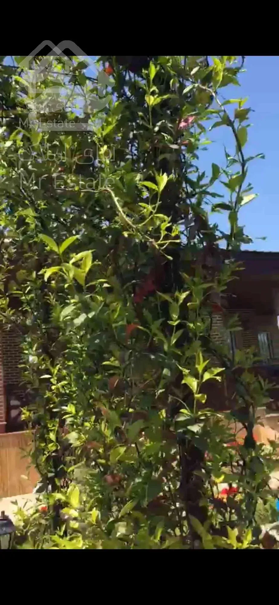 فروش خونه باغ