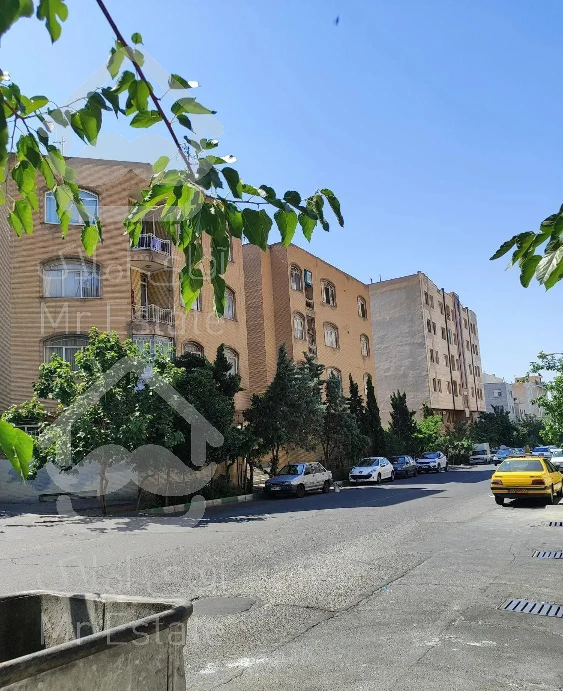 فردوس‌غرب‌ورزی‌جنوبی