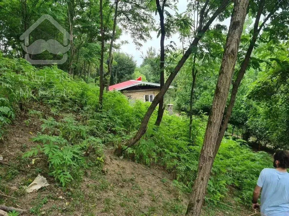 فروش باغ مشجر