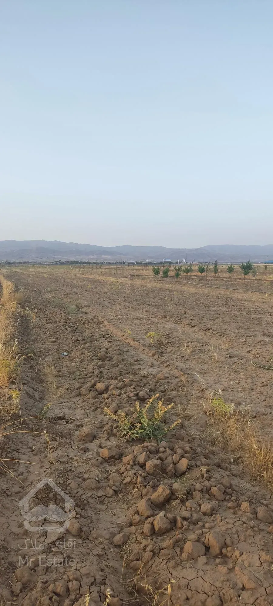 زمین کشاورزی و باغ