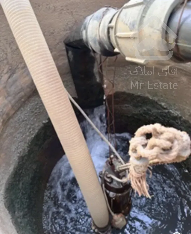 باغ آماده / باغ انار گل انار زود رس/ سرمایه گذاری باغداری