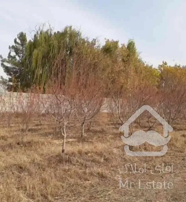 تهاترزمین ۵۰۰متر سهیلیه لشکرآباد