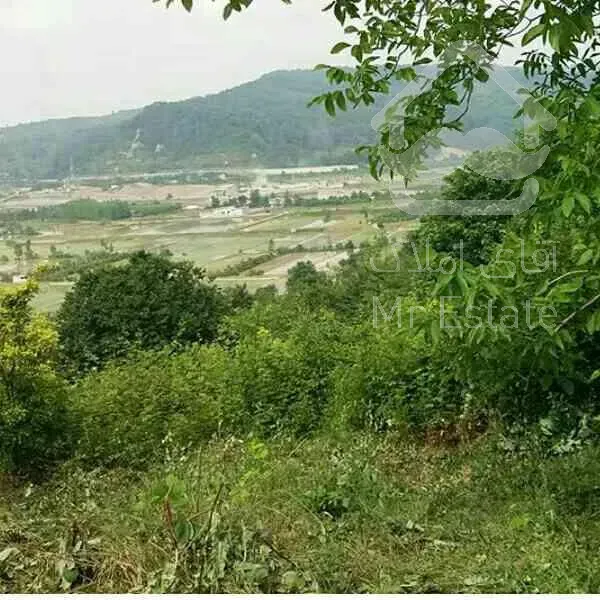 زمین درسوادکوه ویو بینظیر