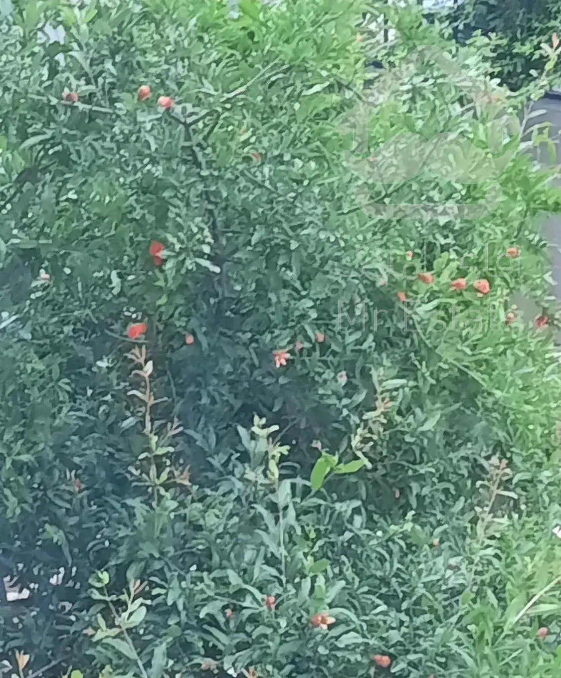 فروش اپارتمان ۷۵ متری دو خواب با ویو رو به جنگل