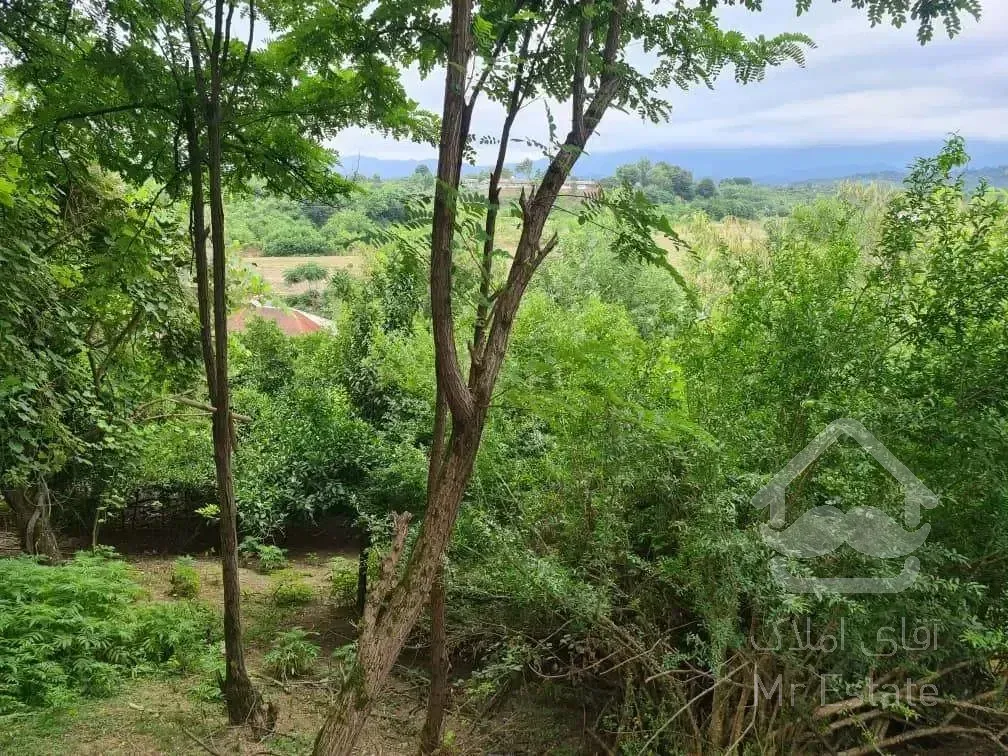 فروش باغ مشجر