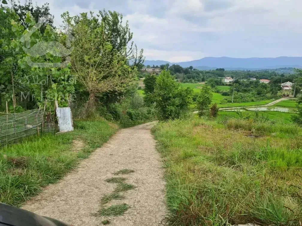 فروش باغ مشجر