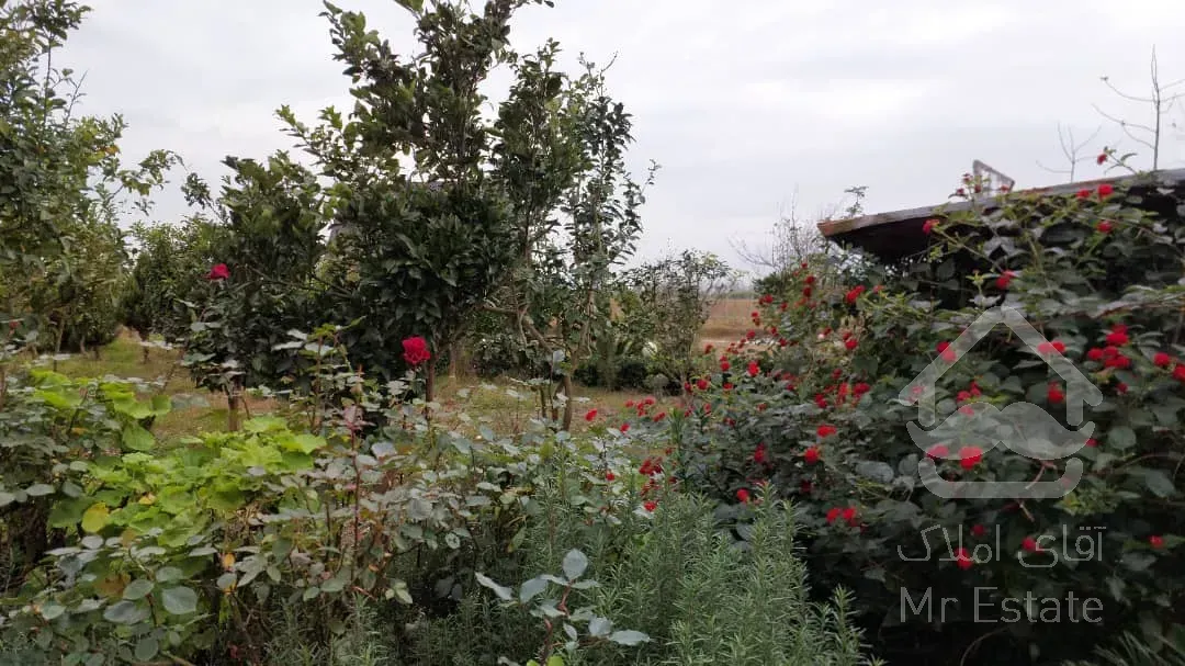 موقعیت استثنایی دو ویلا با تمام مجوز و امکانات در مجاورت استخر ماهی