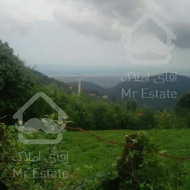 باغ با درخت میوه،با موقعیت آب و‌هوایی بسیار عالی