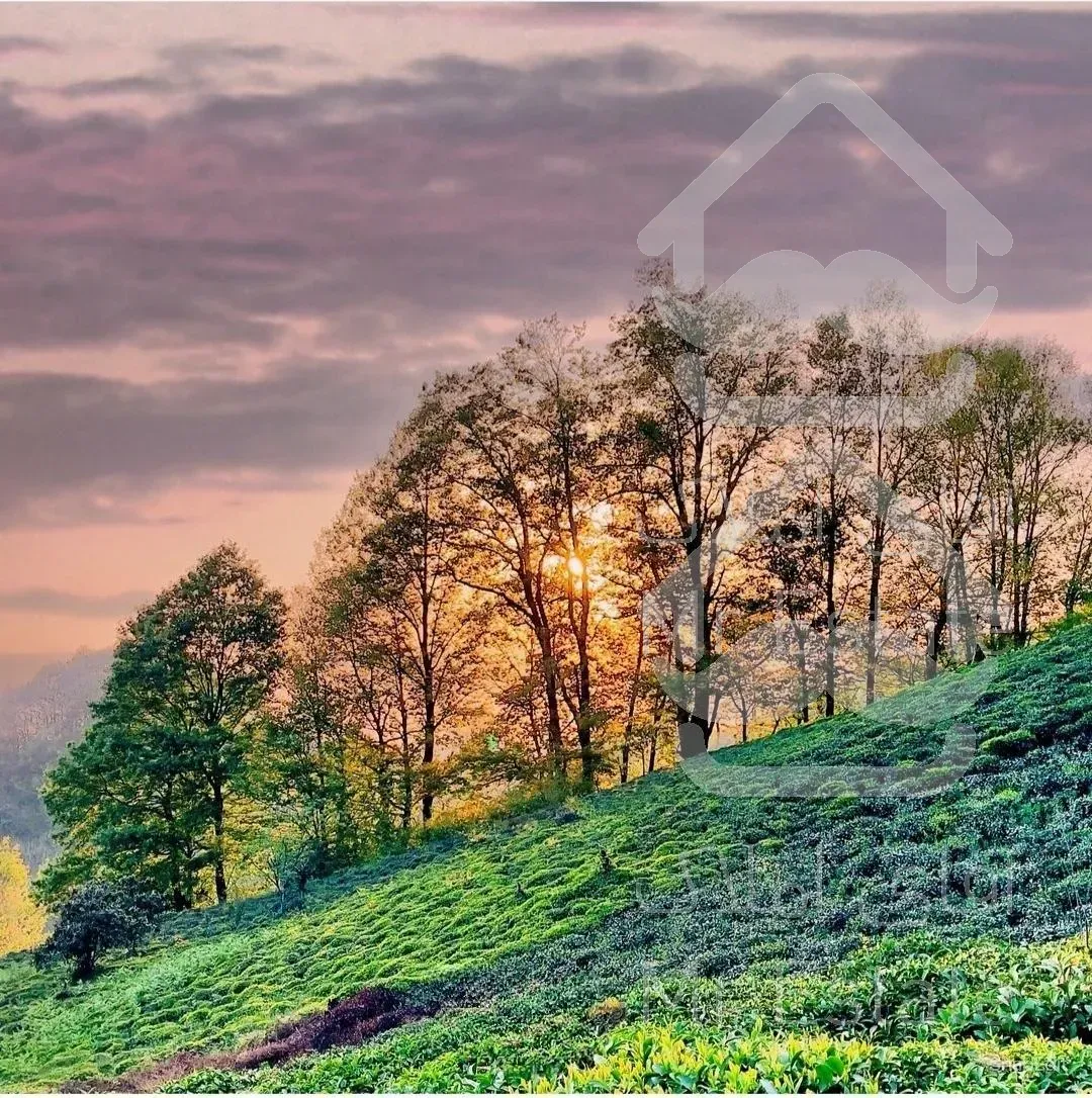 حدود ۳ هزارمتر زمین با ویو ابدی