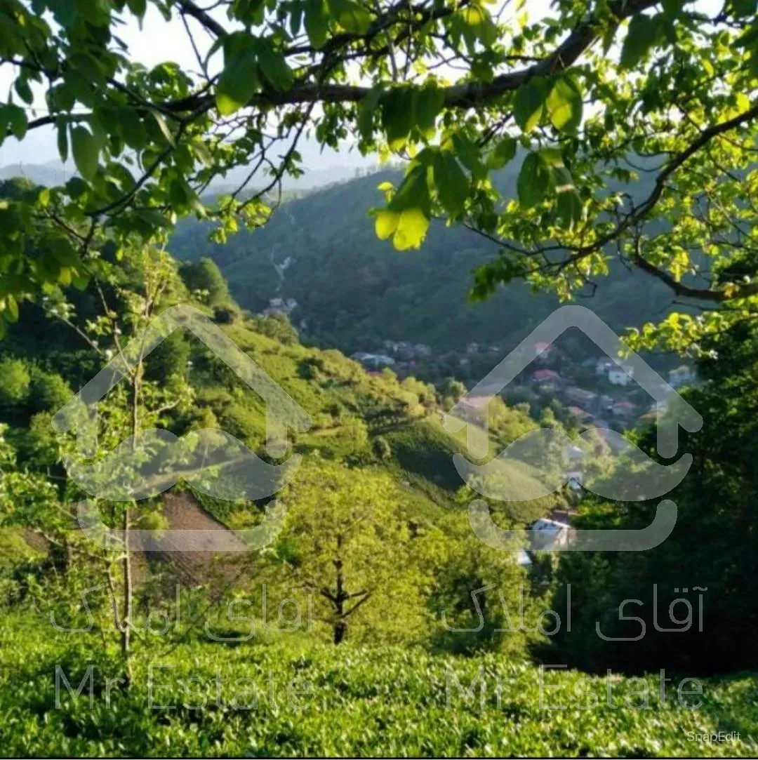 ۵۰۷ متر زمین مسکونی