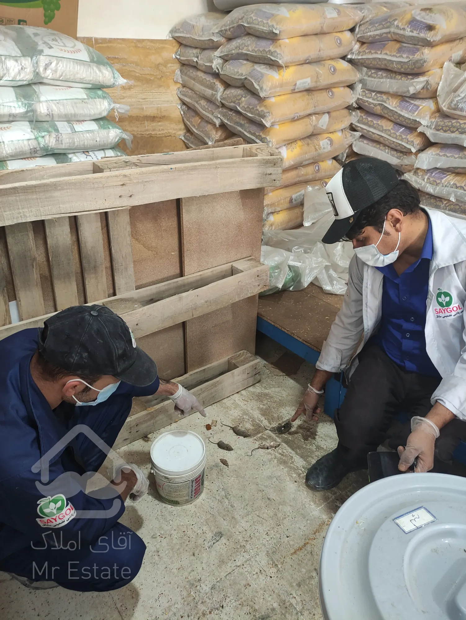 سمپاشی تضمینی و تخصصی منازل -ادارات -کارخانه ها و رستوران ها و...جهت ریشه کنی تمامی آفات و حشرات