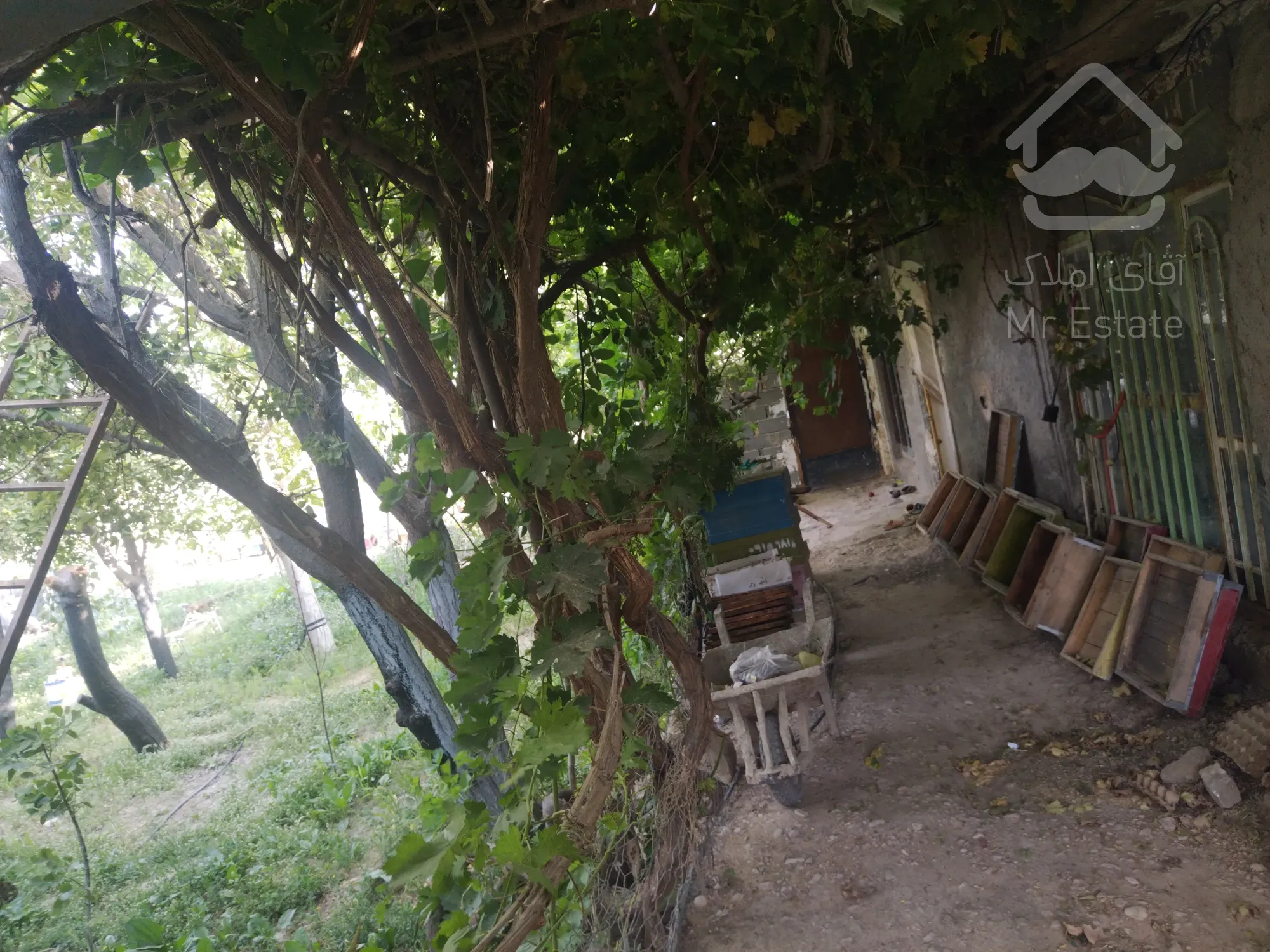 فروش دام داری باغ و ویلا 150متر زیر بنا و50متر سرایداری 80متر خانه ی نشیمن