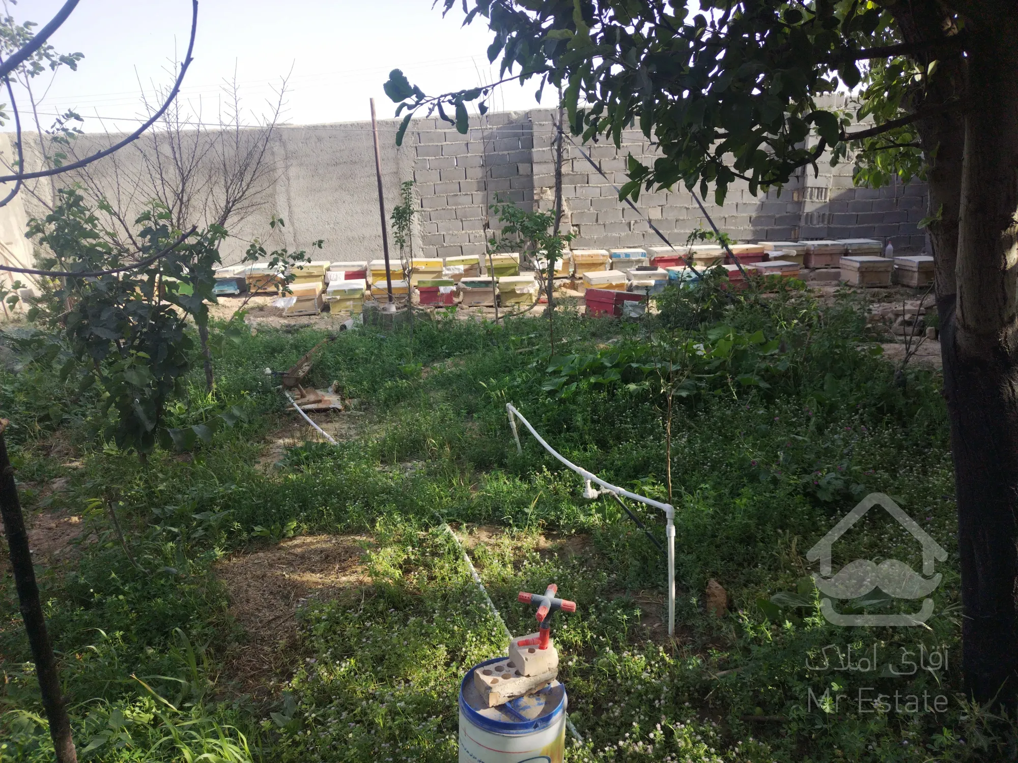 فروش دام داری باغ و ویلا 150متر زیر بنا و50متر سرایداری 80متر خانه ی نشیمن