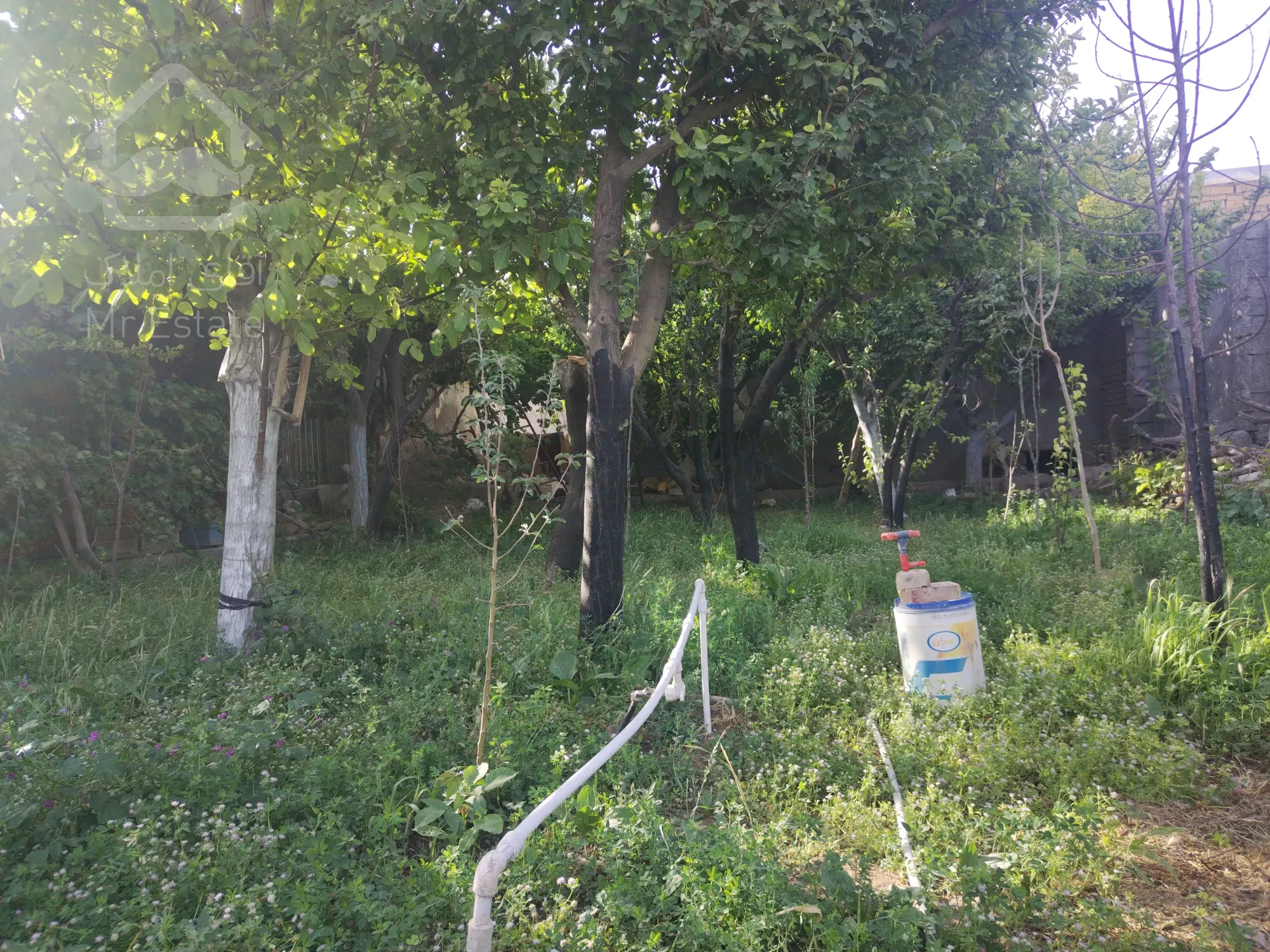 فروش دام داری باغ و ویلا 150متر زیر بنا و50متر سرایداری 80متر خانه ی نشیمن