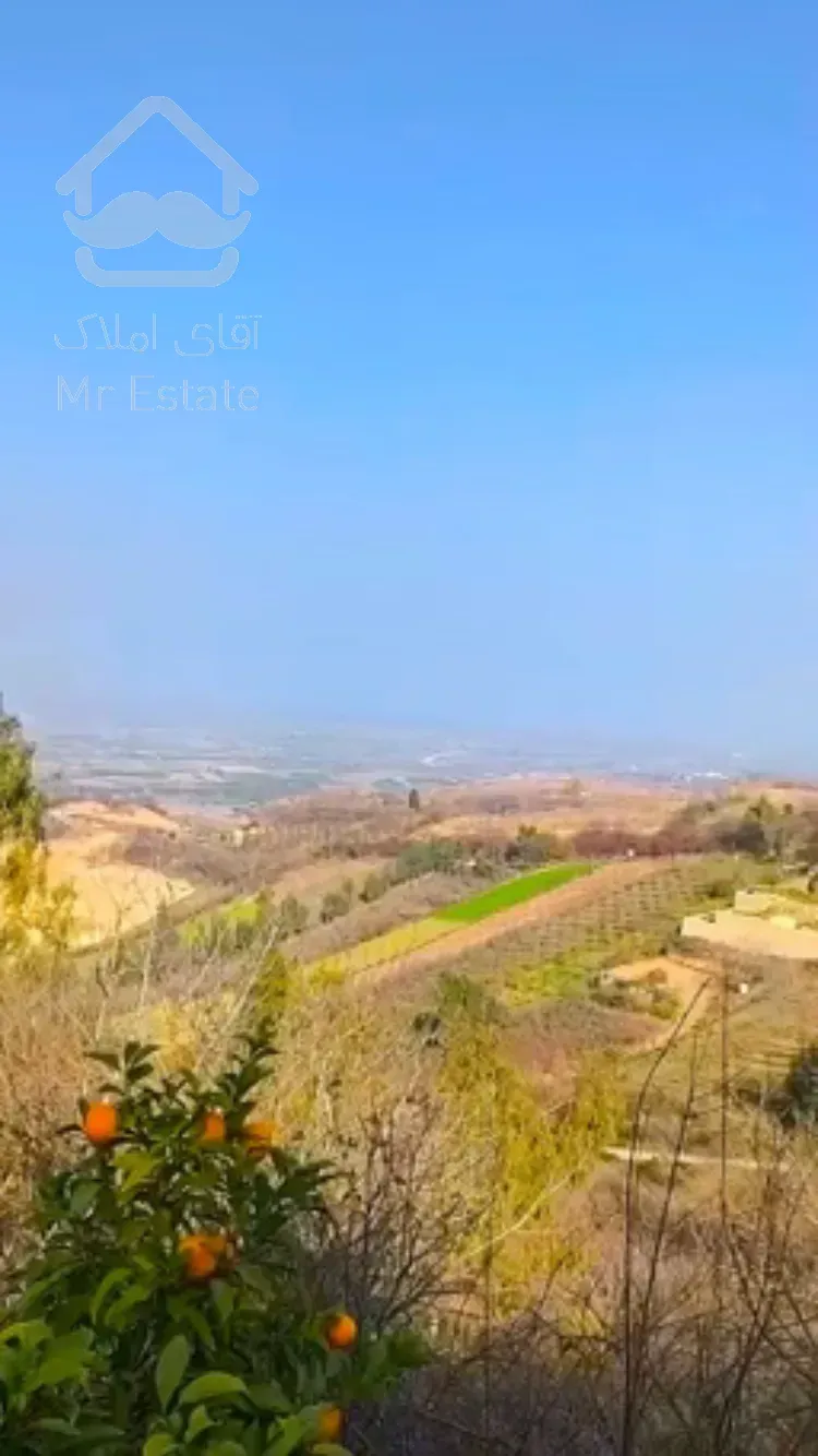 باغ آماده / باغ انار گل انار زود رس/ سرمایه گذاری باغداری