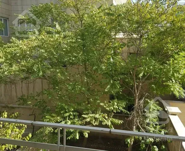 فلکه اول صادقیه کوچه قدیانی 230متریکجا