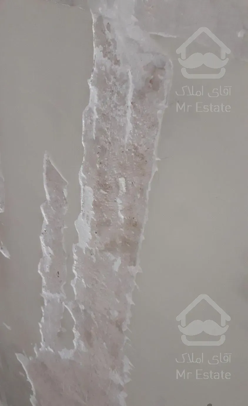 گچ کاری،سفید ولکه گیری وخورده کاری