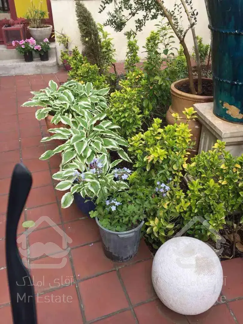 ملک کلنگی ۱۶۰متری نیاوران