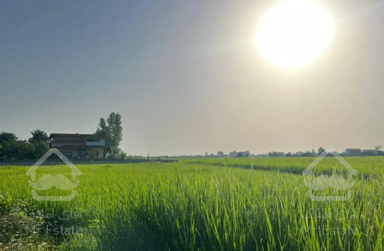 ویلا باغ نزدیک ساحل تالش