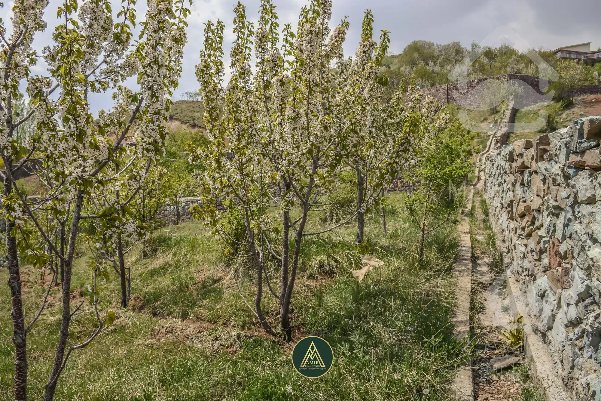 فروش ۱۰۰۰ متر زمین راحت آباد لواسان