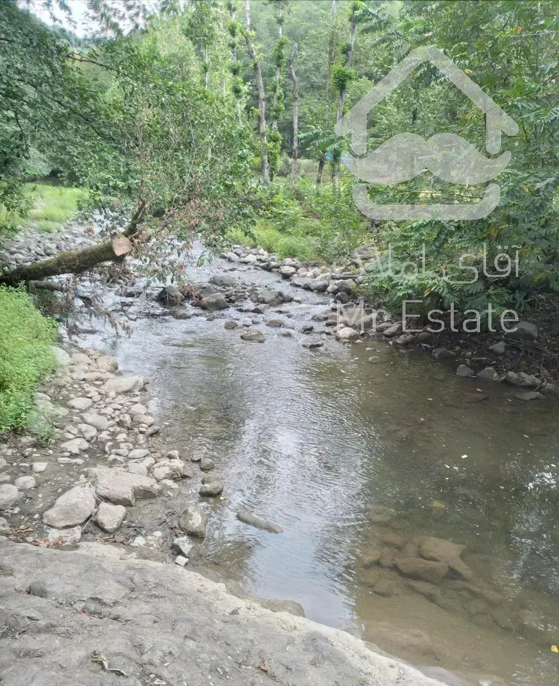 باغ ویلا مبله