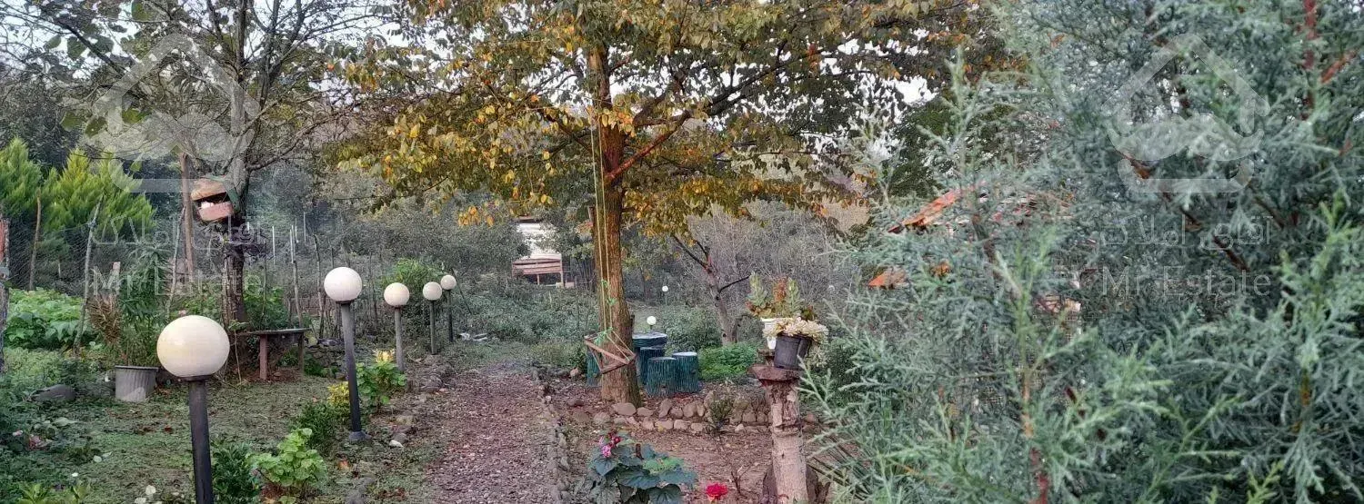 ویلای جنگلی با ویوی ابدی