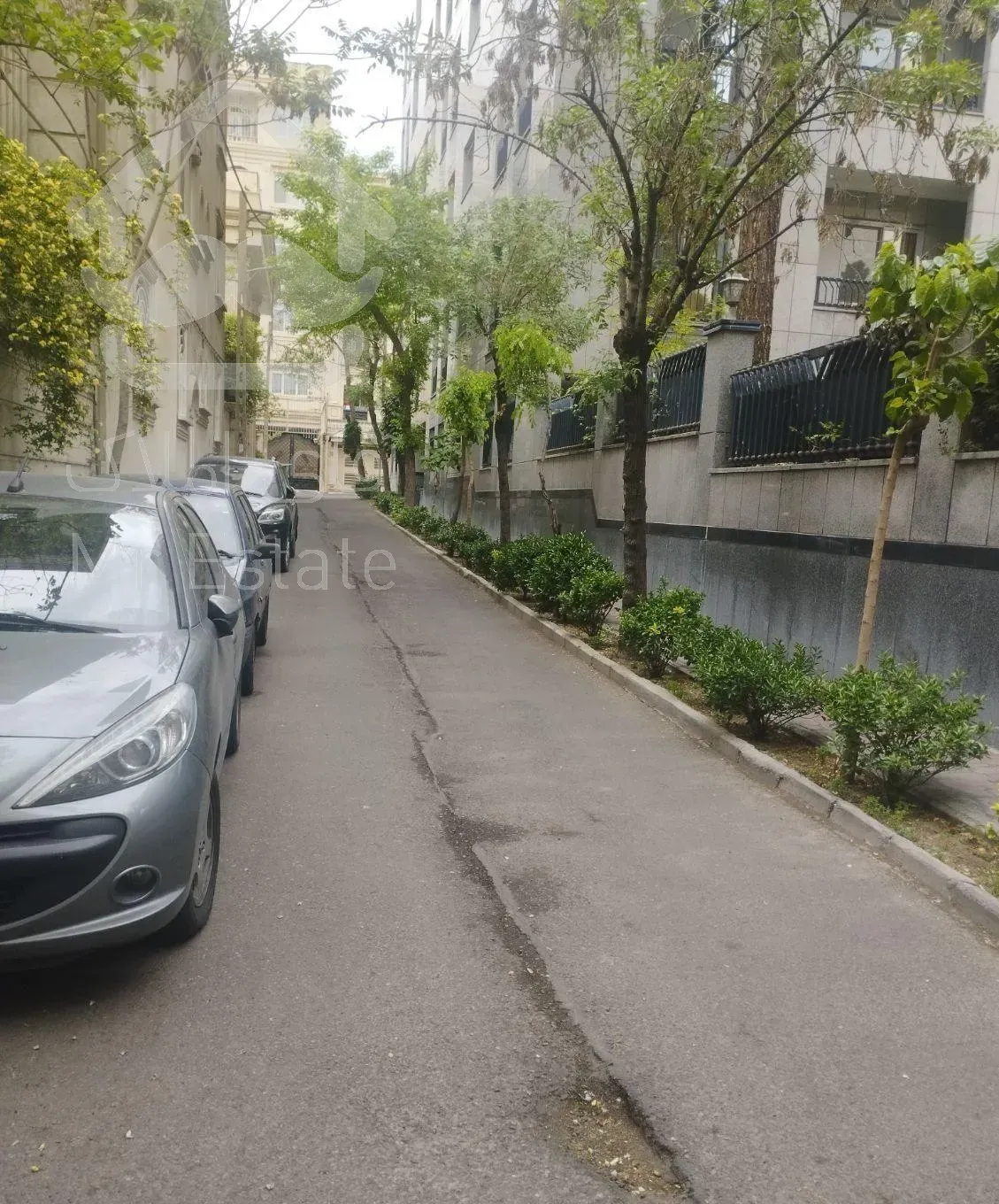 واحد مستر لوکس کلید نخورده در پاسداران