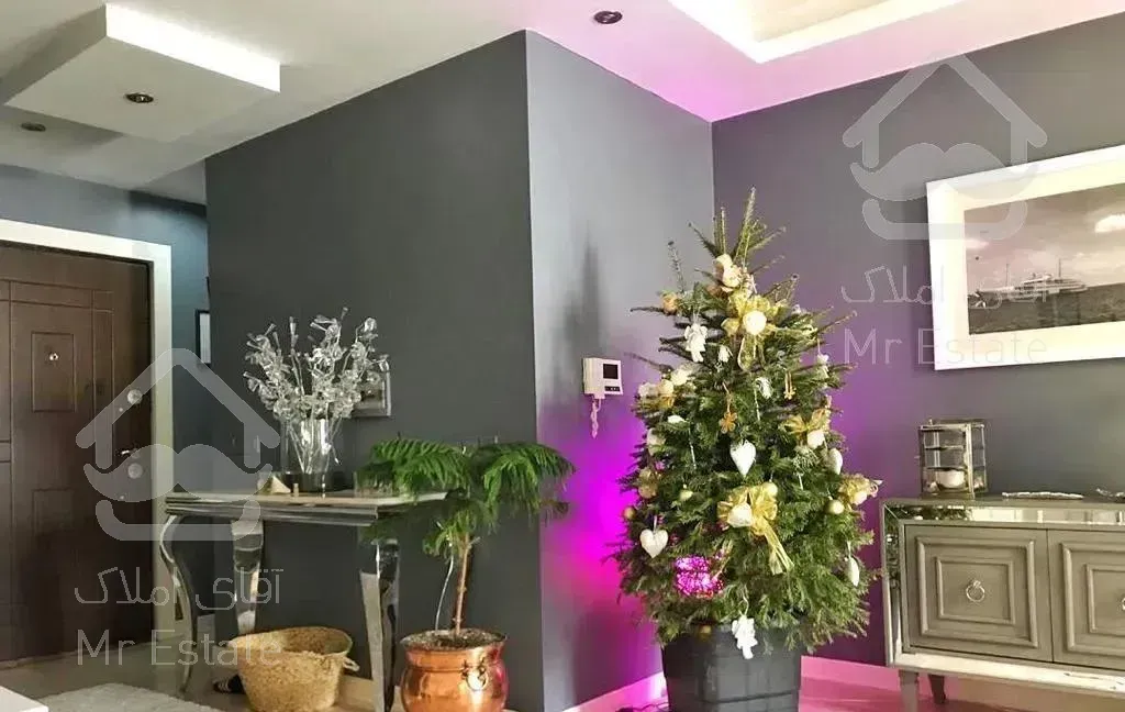 ۶۵ متر - ۱خواب  - فول - مجرد - گیشا