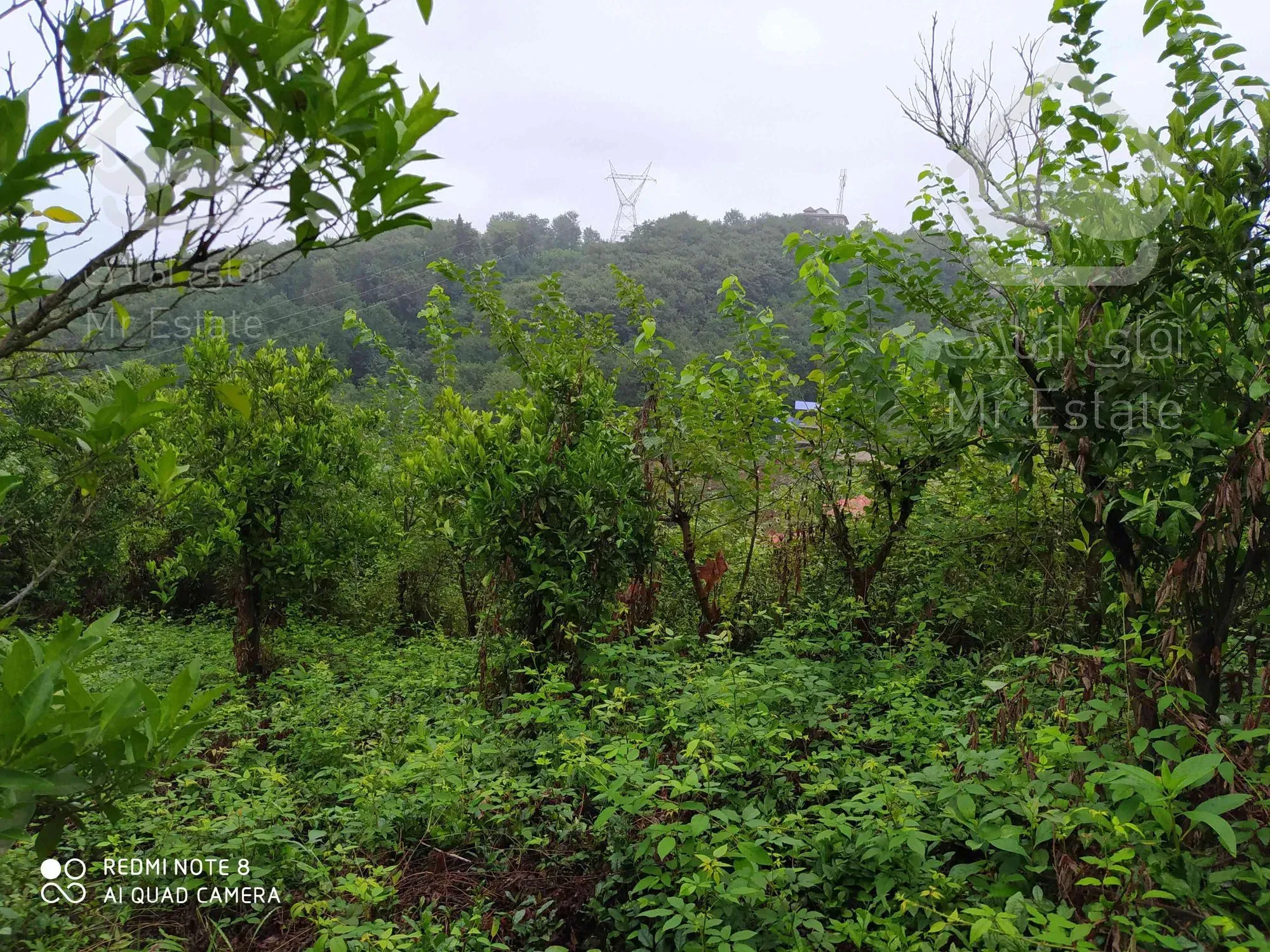 فروش ویژه ۱۴۱۵ متر زمین مناسب برای ویلا باغسازی