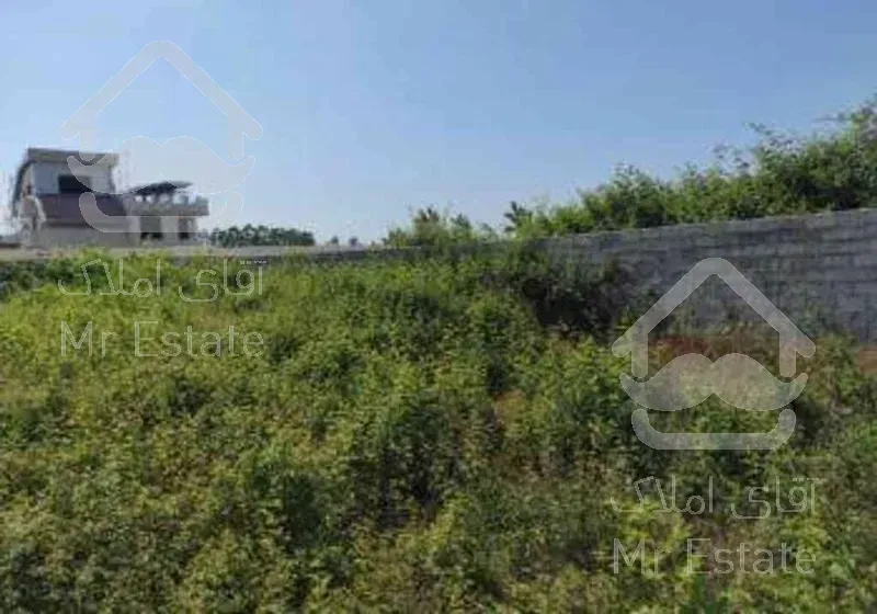 زمین 389 متری_دالخانی_ویوی ابدی کوه و دریا