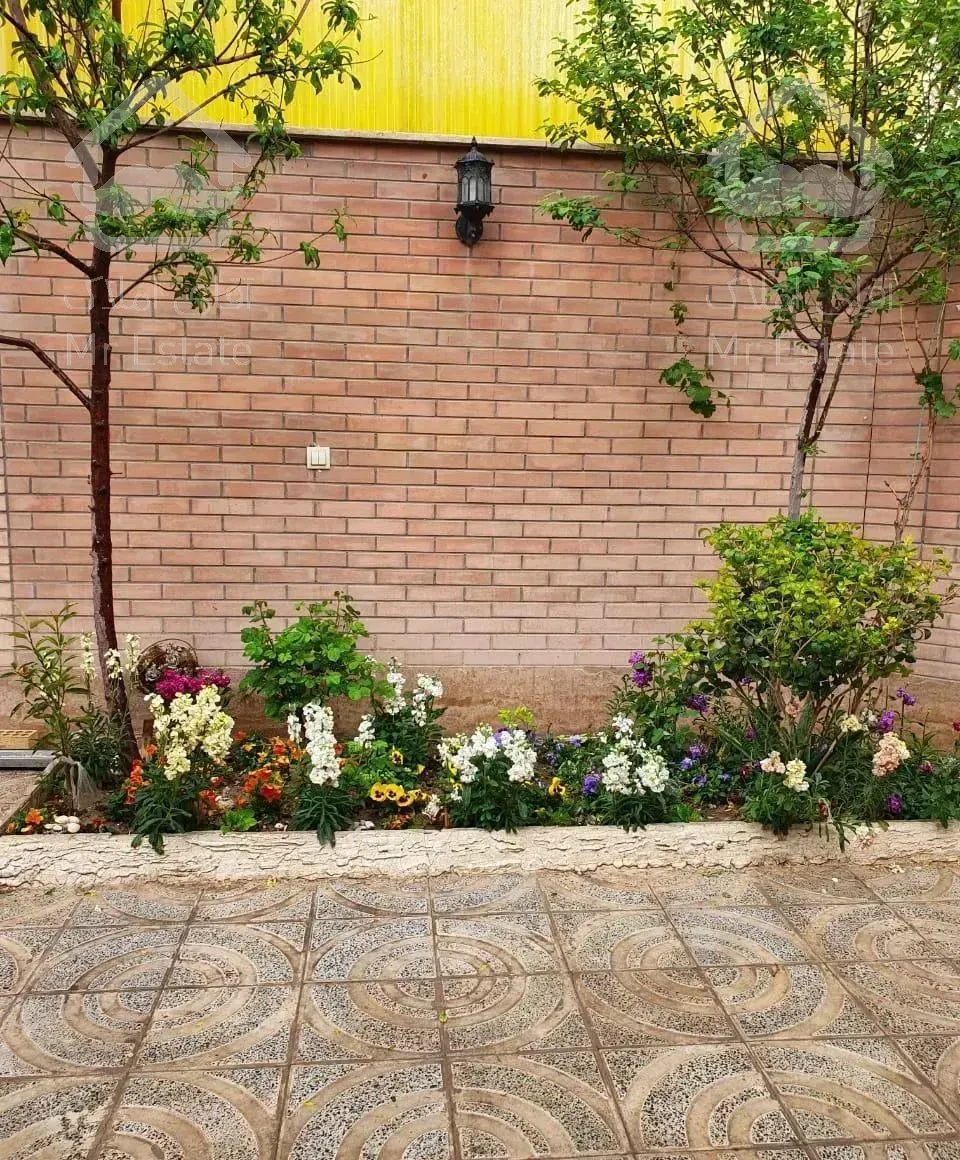 حیاط اختصاصی/جنوبی/تک واحدی