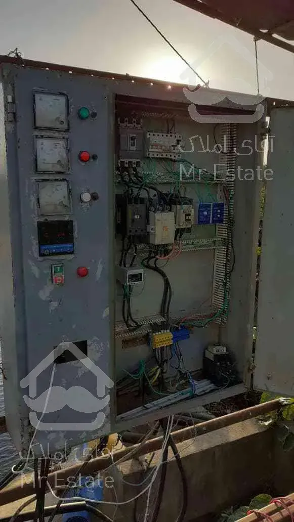 باغ کیوی سند دار پرمحصول