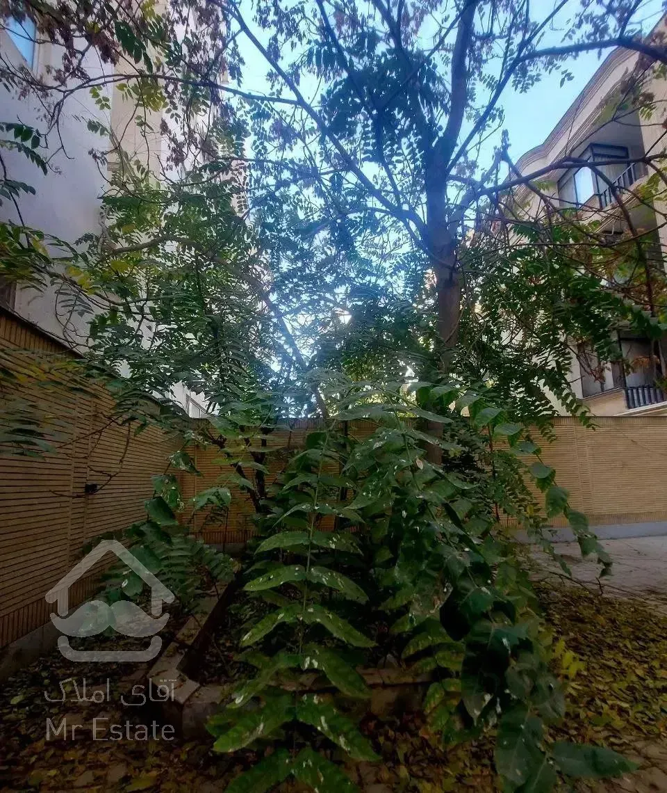 ۸۵ متر همکف با ۱۰۰ مترحیاط اختصاصی اول دانش آموز