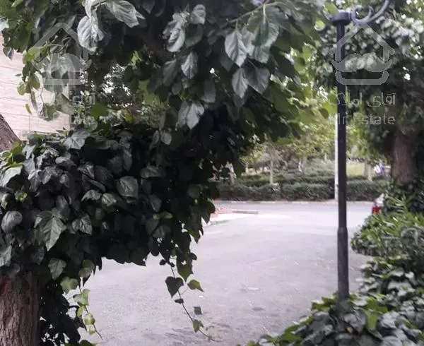 ۵۰متر ۱خواب فول امکانات شهران شمالی