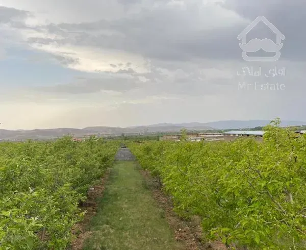 زمین باغ کاربردی