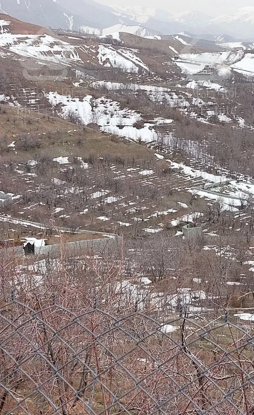 فروش  زمین بین راحت آباد و امامه ۵۰۰ متر