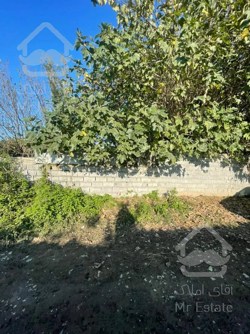 فروش فوری باغ در آمل مناسب سرمایه گذاری