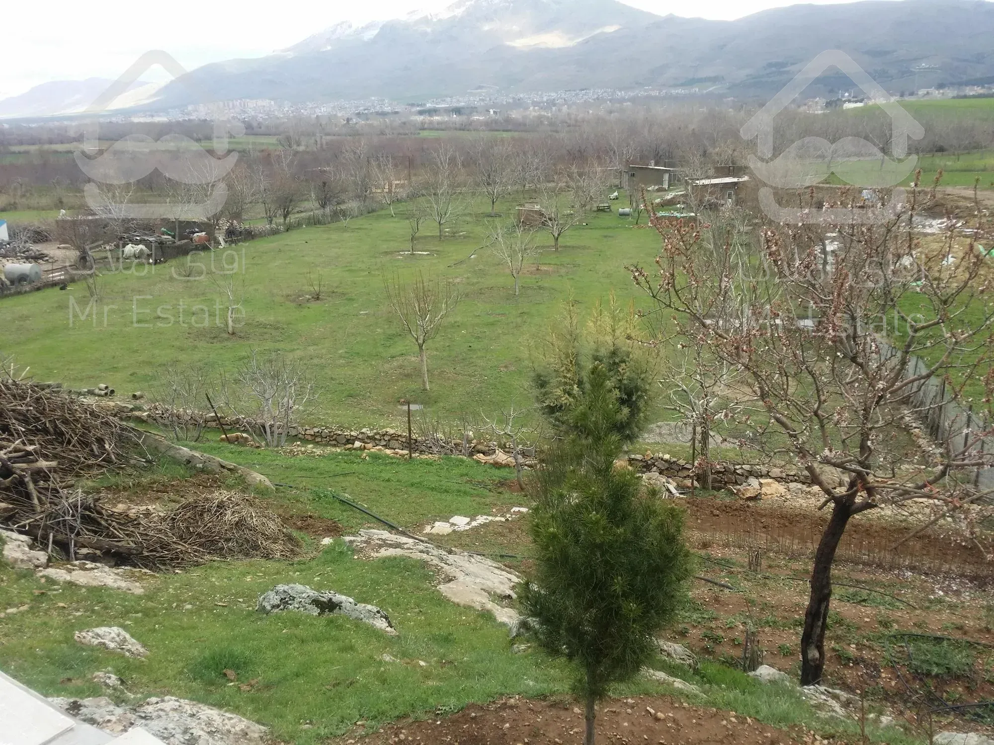 فروش زمین کشاورزی آبی - باغ با برق سه فاز شخصی در شهرستان صحنه