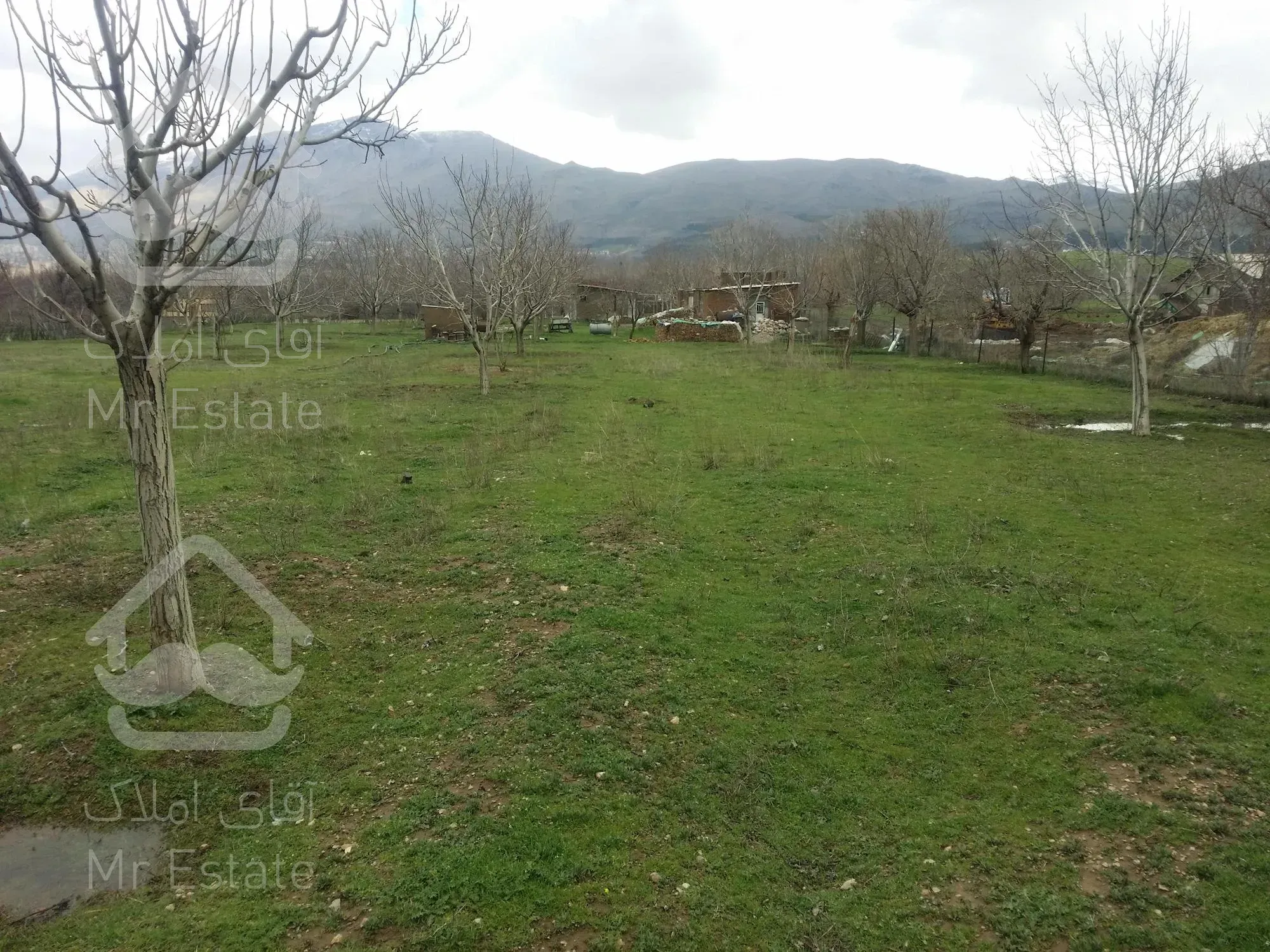 فروش زمین کشاورزی آبی - باغ با برق سه فاز شخصی در شهرستان صحنه