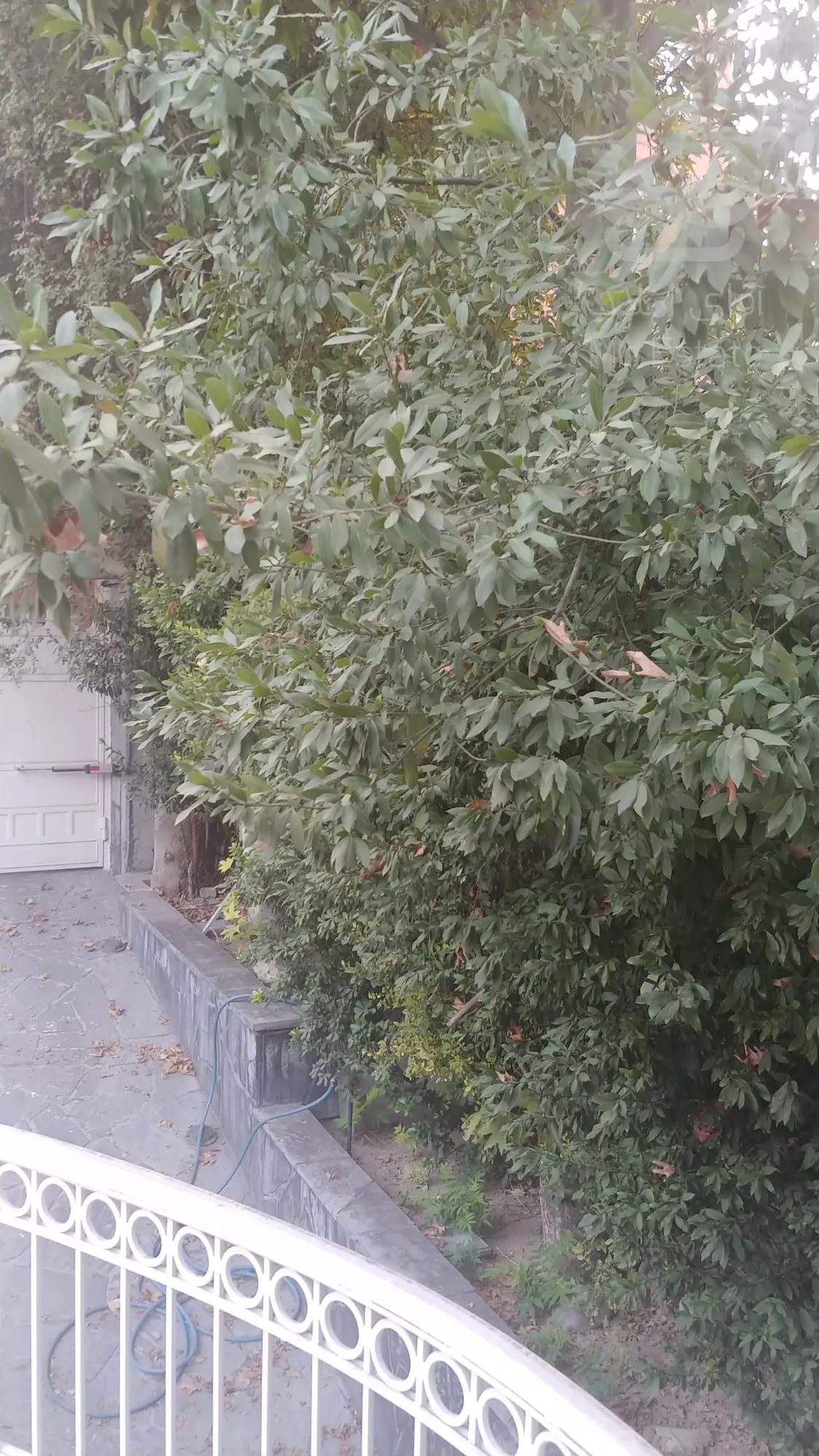 اجاره 350 متر ویلایی مستقلات قبا